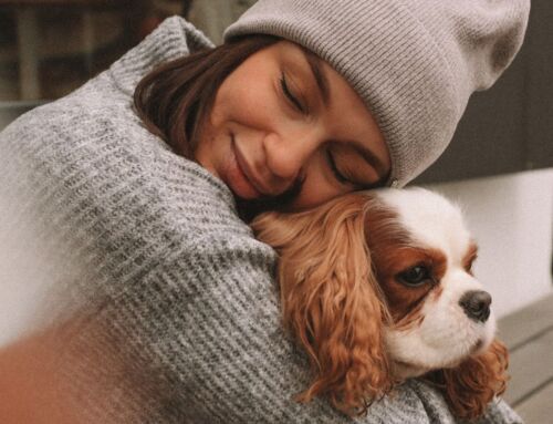 Thankful Tails:  10 Things Your Dog Would Say If They Could Write A Thanksgiving List