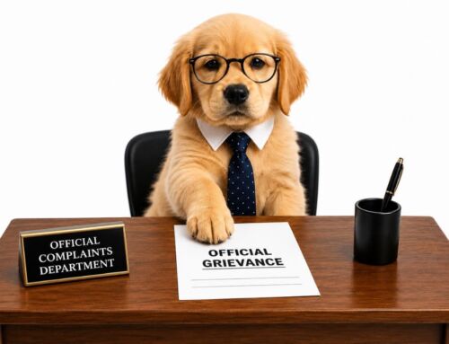 The Puppy Summer Complaint Department